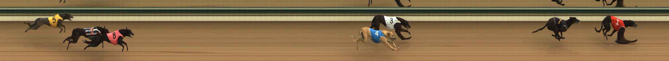 Photo finish for The Meadows Race 1