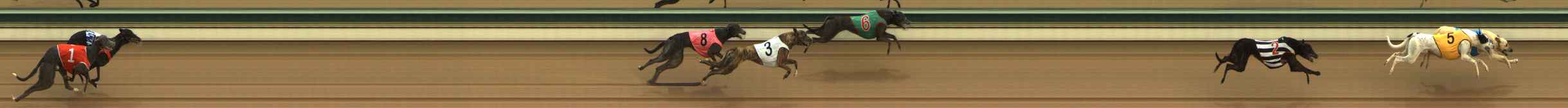 Photo finish for The Meadows Race 2