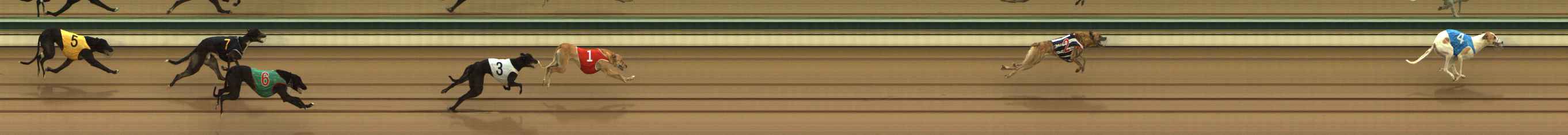 Photo finish for The Meadows Race 3