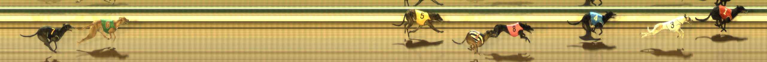 Photo finish for The Meadows Race 7
