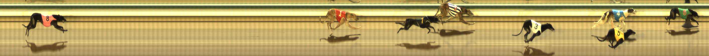 Photo finish for The Meadows Race 8