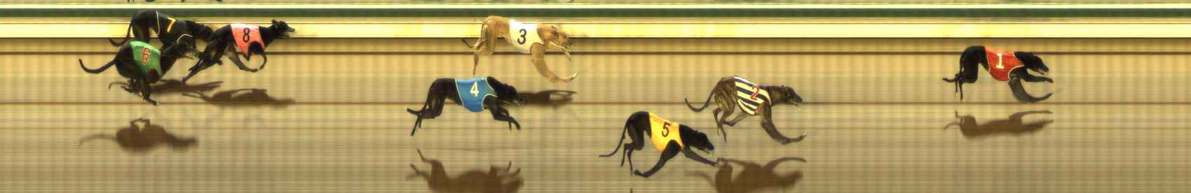 Photo finish for The Meadows Race 9