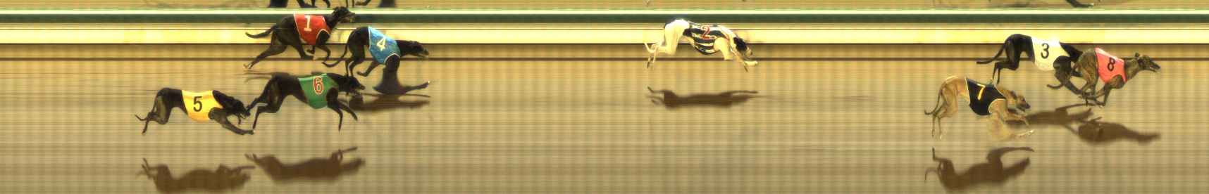 Photo finish for The Meadows Race 10