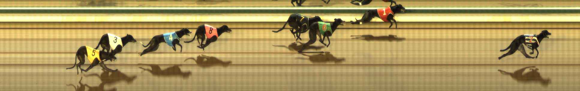 Photo finish for The Meadows Race 11