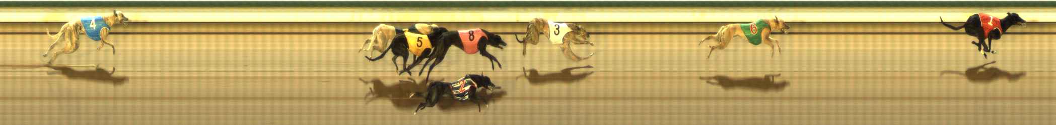 Photo finish for The Meadows Race 12
