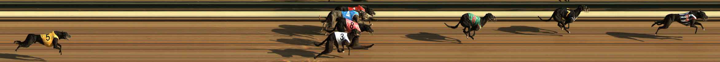 Photo finish for The Meadows Race 1