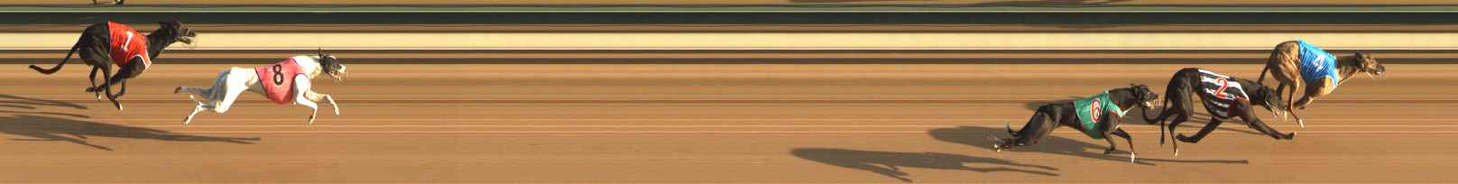Photo finish for The Meadows Race 2