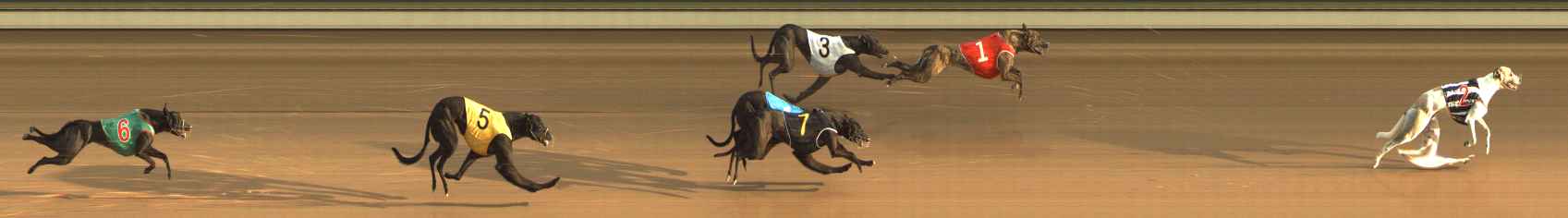 Photo finish for The Meadows Race 3