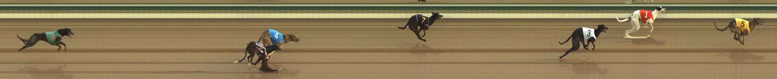 Photo finish for The Meadows Race 4