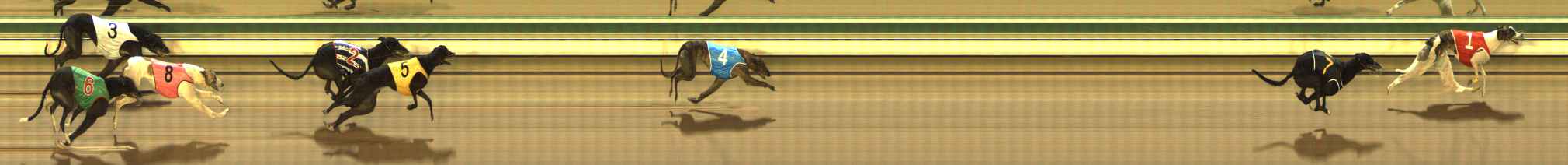 Photo finish for The Meadows Race 6
