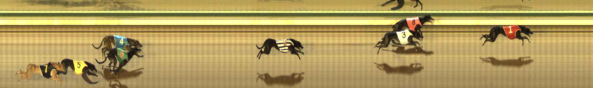 Photo finish for The Meadows Race 7
