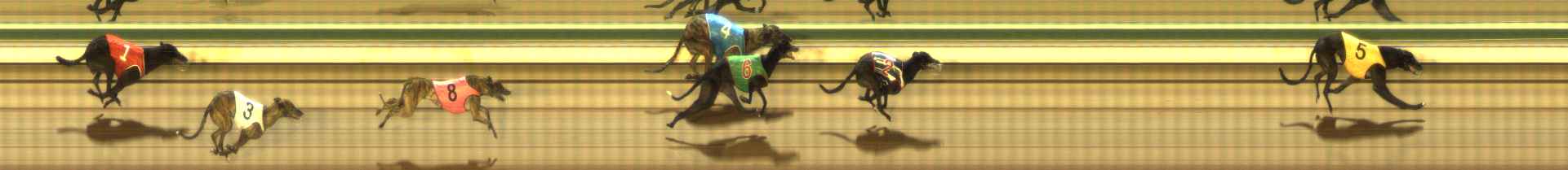 Photo finish for The Meadows Race 8