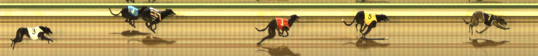 Photo finish for The Meadows Race 10