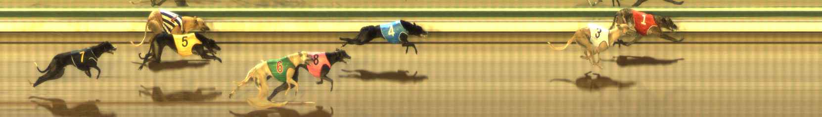 Photo finish for The Meadows Race 11