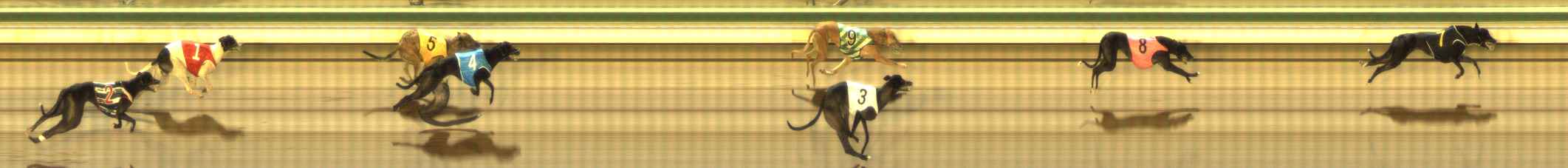Photo finish for The Meadows Race 12