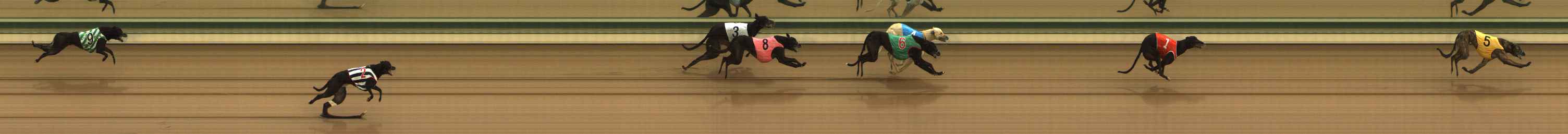 Photo finish for The Meadows Race 3