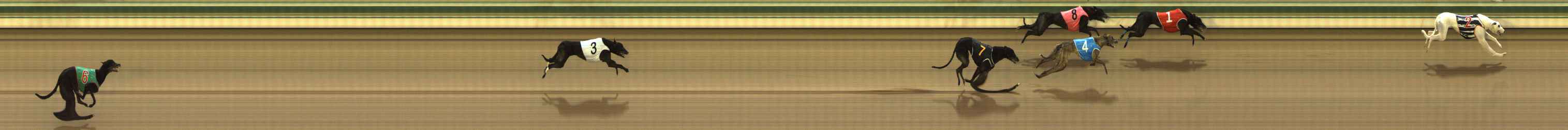 Photo finish for The Meadows Race 4
