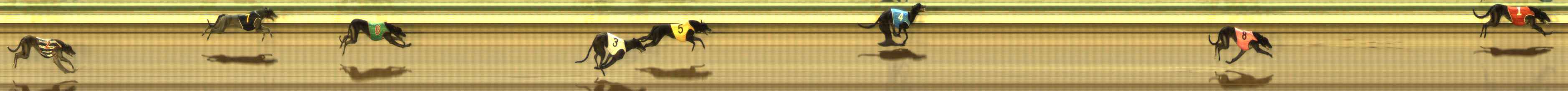 Photo finish for The Meadows Race 8