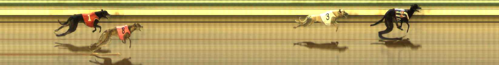 Photo finish for The Meadows Race 9