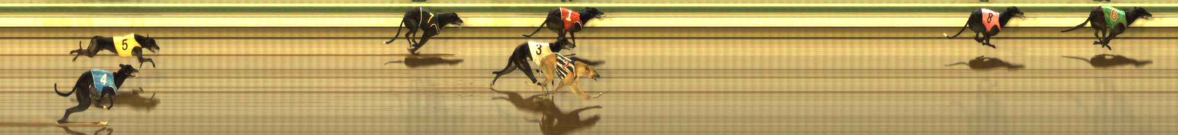 Photo finish for The Meadows Race 10