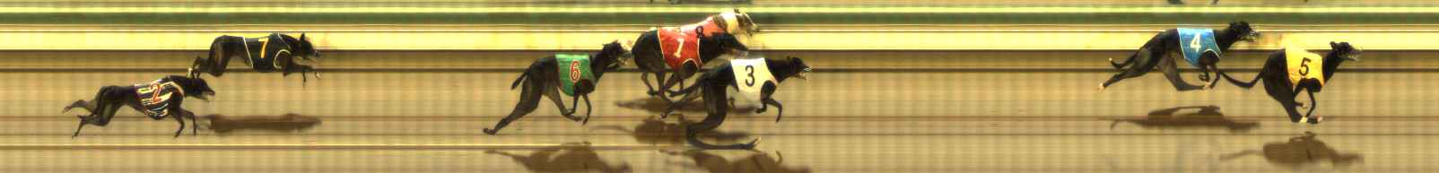 Photo finish for The Meadows Race 11