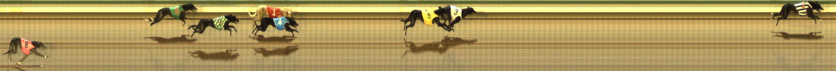 Photo finish for The Meadows Race 12