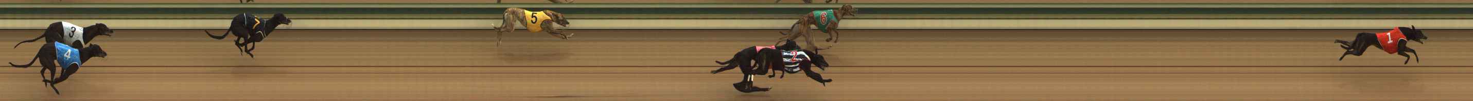 Photo finish for The Meadows Race 1