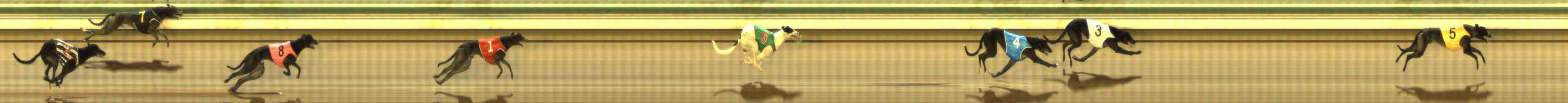 Photo finish for The Meadows Race 6
