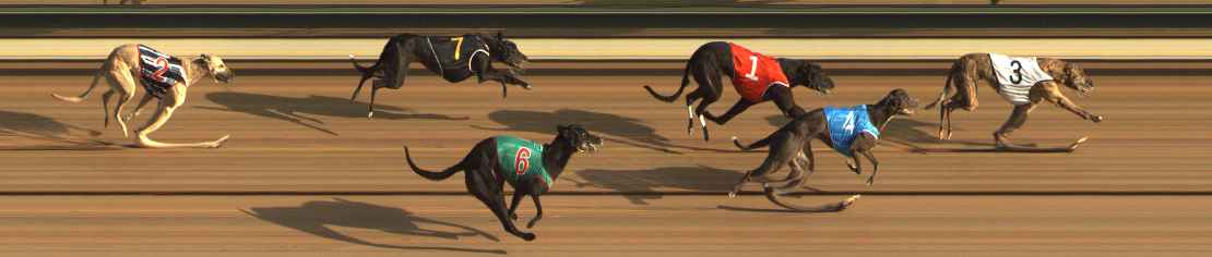 Photo finish for The Meadows Race 1