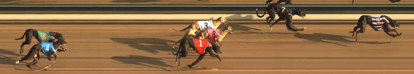 Photo finish for The Meadows Race 2