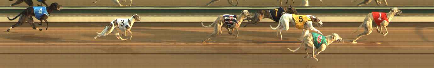 Photo finish for The Meadows Race 4