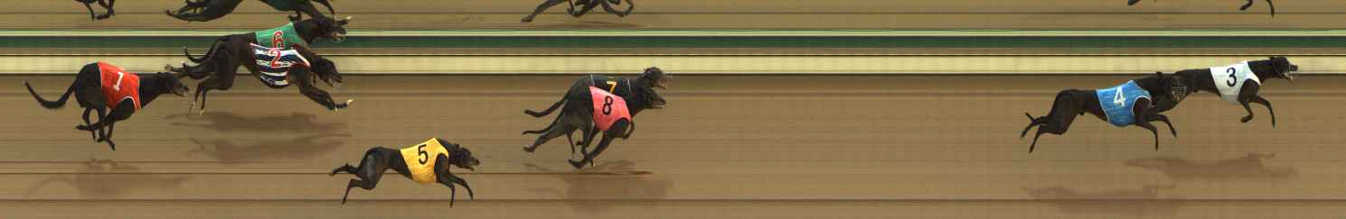 Photo finish for The Meadows Race 5