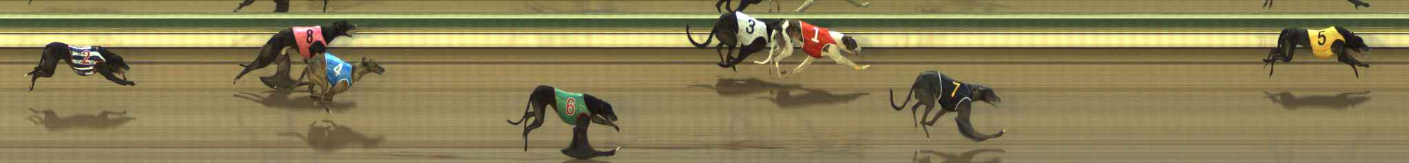 Photo finish for The Meadows Race 6