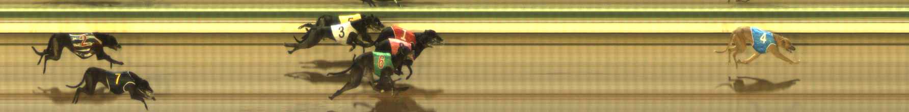 Photo finish for The Meadows Race 7
