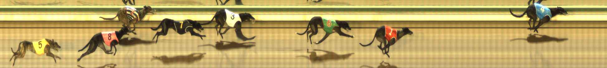 Photo finish for The Meadows Race 8