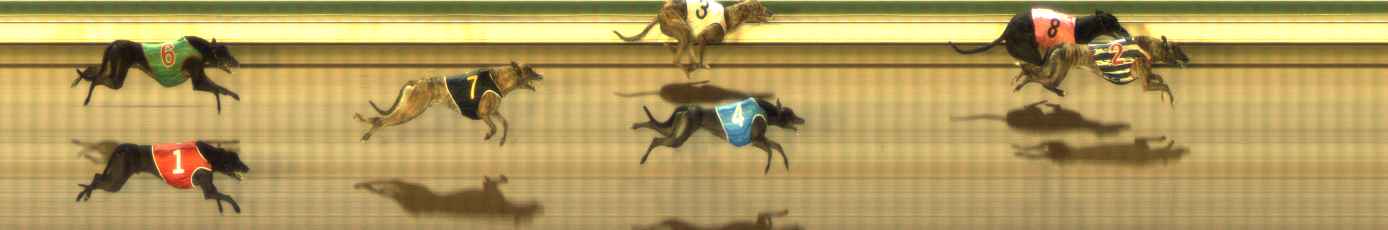 Photo finish for The Meadows Race 9
