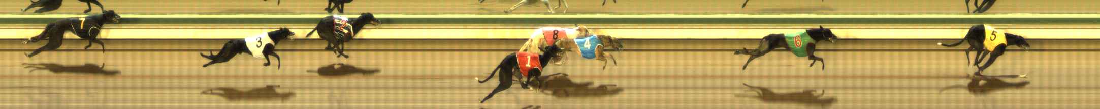 Photo finish for The Meadows Race 10
