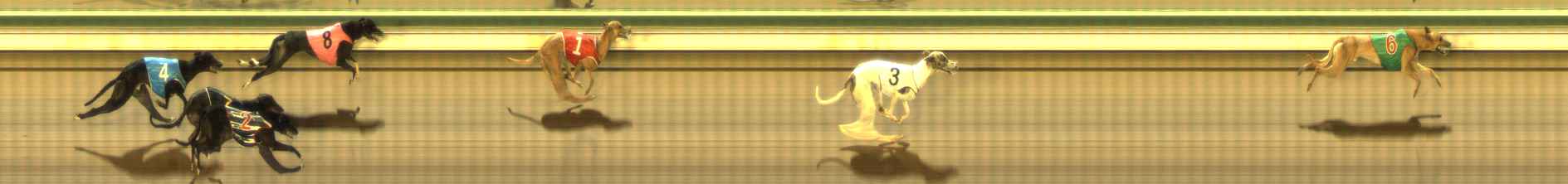 Photo finish for The Meadows Race 12