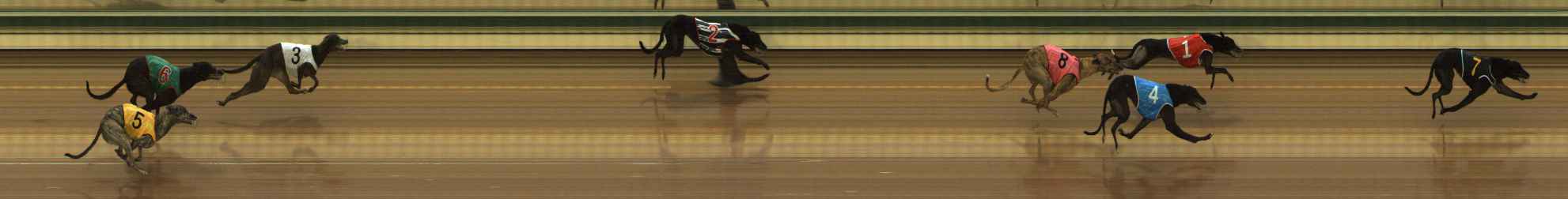Photo finish for The Meadows Race 1