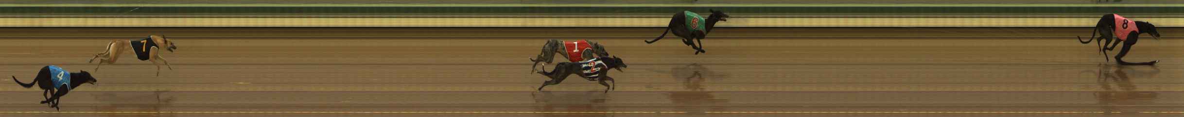 Photo finish for The Meadows Race 2