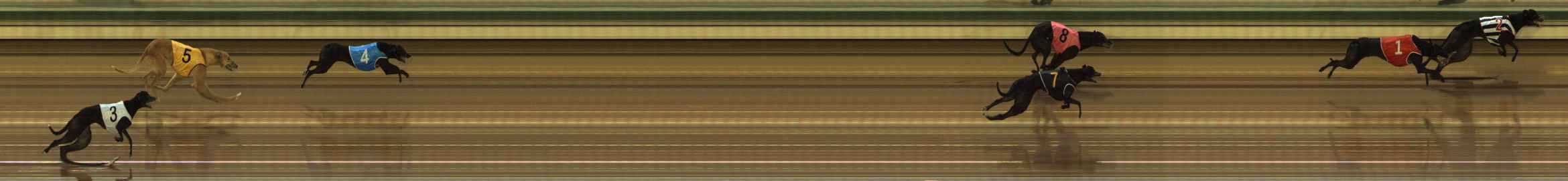 Photo finish for The Meadows Race 3