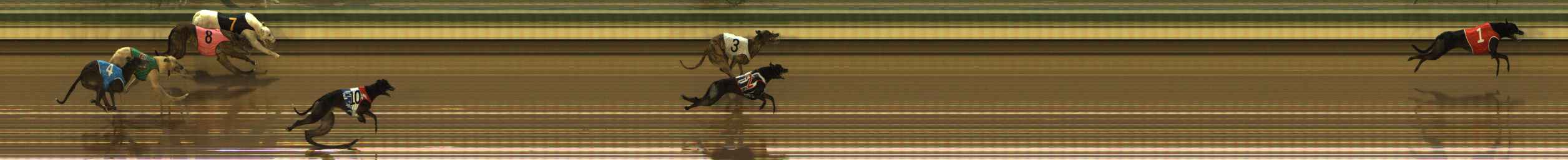Photo finish for The Meadows Race 4