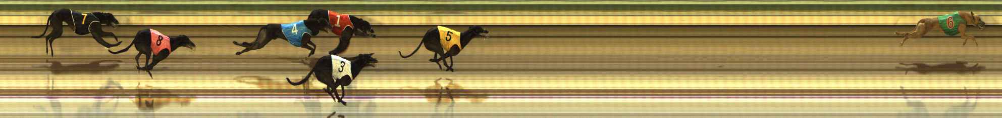 Photo finish for The Meadows Race 5