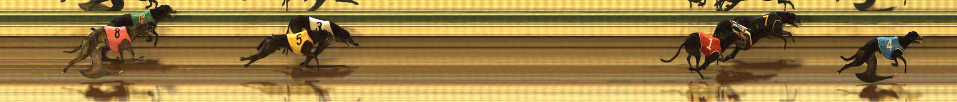 Photo finish for The Meadows Race 6