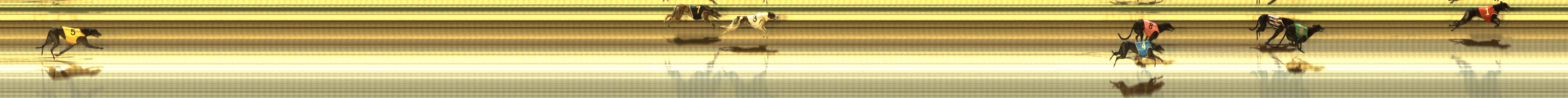 Photo finish for The Meadows Race 8