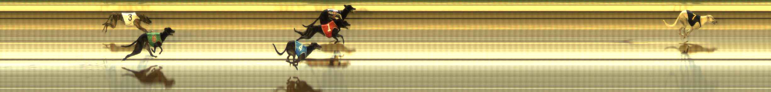 Photo finish for The Meadows Race 9