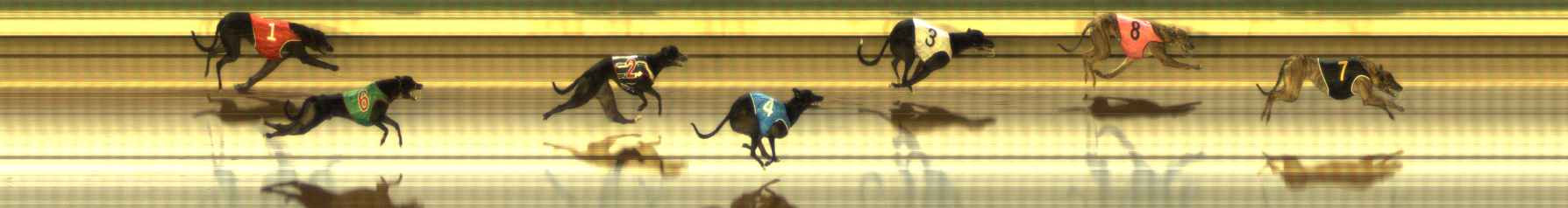 Photo finish for The Meadows Race 10