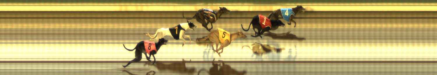 Photo finish for The Meadows Race 11