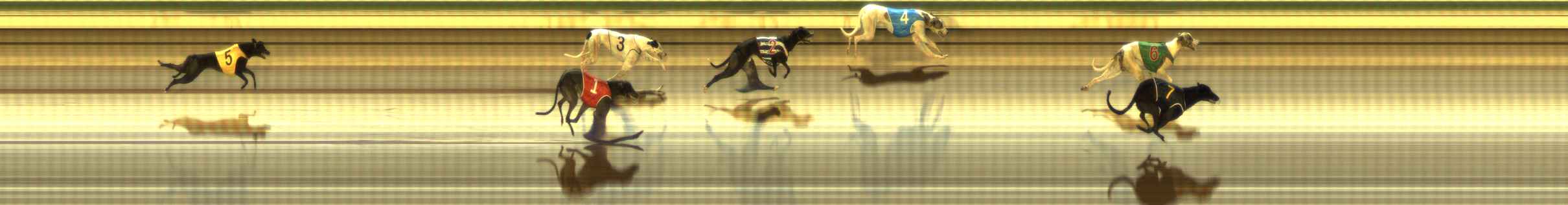Photo finish for The Meadows Race 12