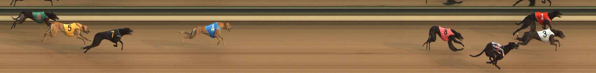 Photo finish for The Meadows Race 1